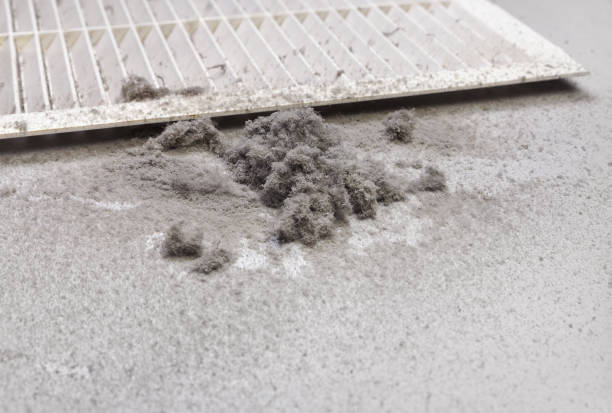 Best Air Duct Cleaning Near Me  in Kenneth City, FL