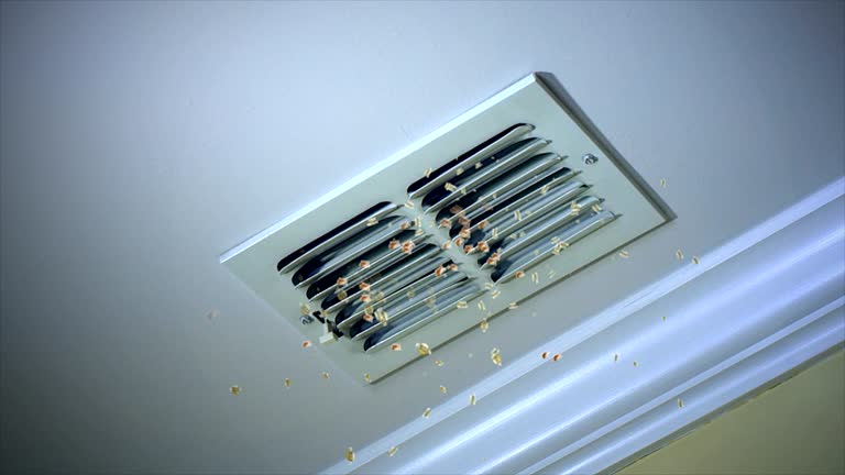 Best HVAC Maintenance and Cleaning  in Kenneth City, FL
